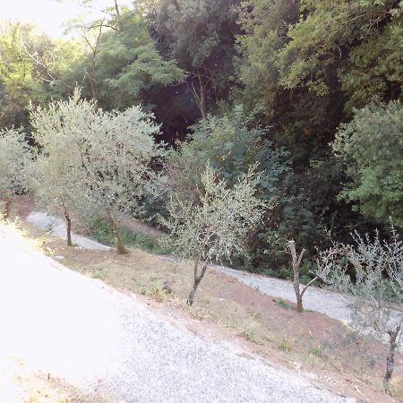 Fattoria Ceragioli Villa Camaiore Bagian luar foto