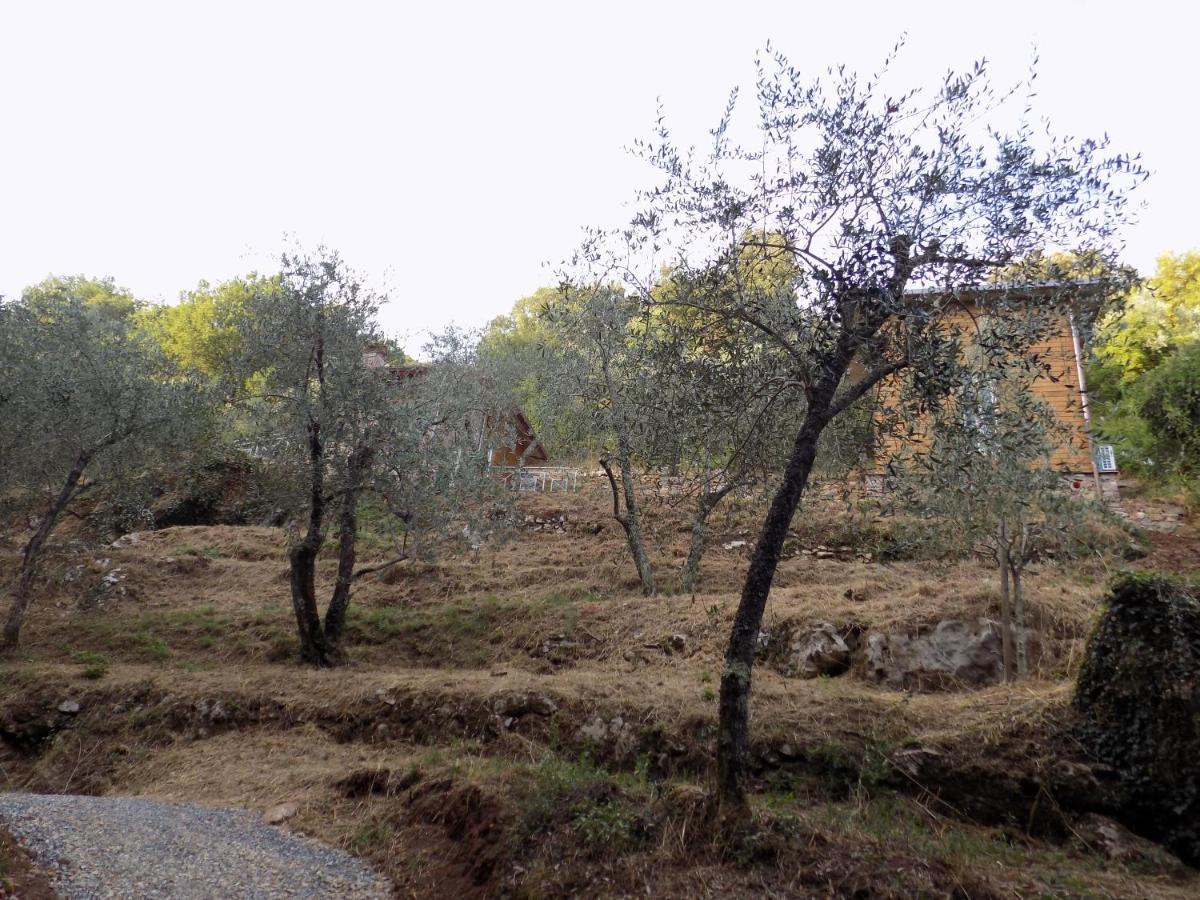 Fattoria Ceragioli Villa Camaiore Bagian luar foto