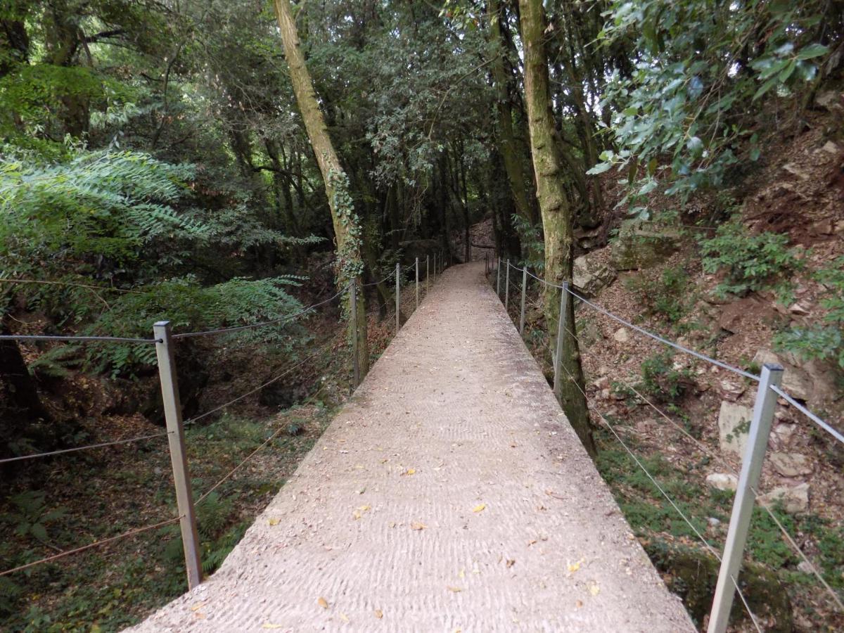 Fattoria Ceragioli Villa Camaiore Bagian luar foto
