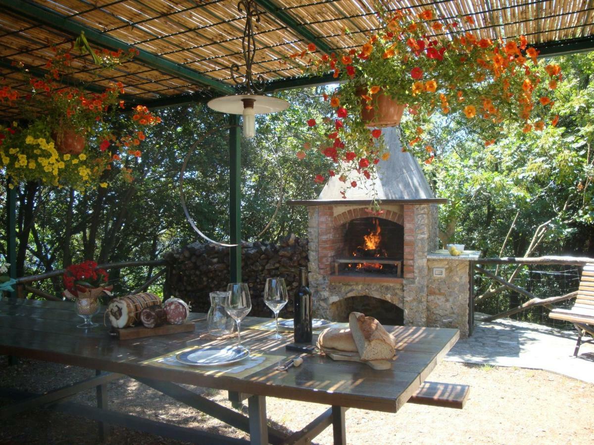Fattoria Ceragioli Villa Camaiore Bagian luar foto