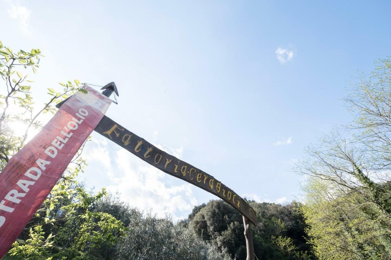 Fattoria Ceragioli Villa Camaiore Bagian luar foto