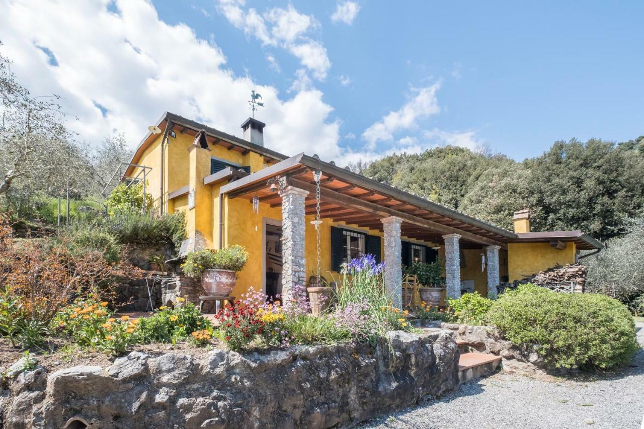 Fattoria Ceragioli Villa Camaiore Bagian luar foto