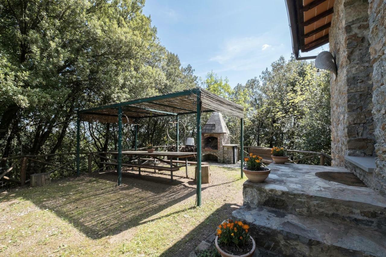 Fattoria Ceragioli Villa Camaiore Bagian luar foto