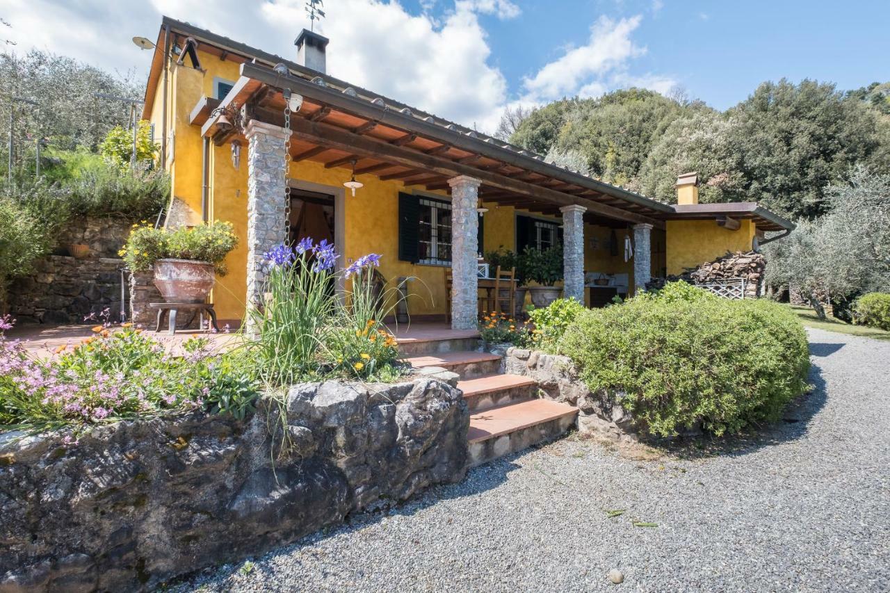 Fattoria Ceragioli Villa Camaiore Bagian luar foto